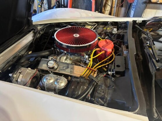 1981 Chevrolet Corvette