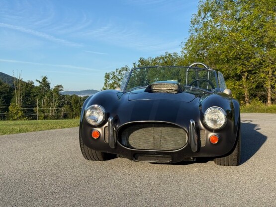 2004 Ford Shelby Cobra