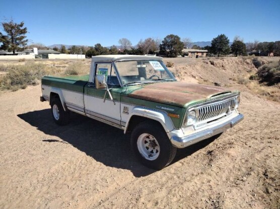 1973 Jeep Other