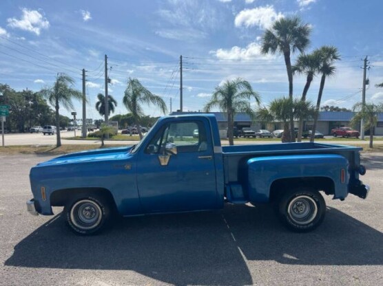 1976 Chevrolet CK