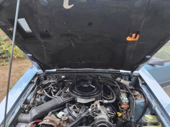 1986 Ford Mustang