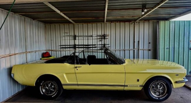 1966 Ford Mustang