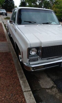 1976 Chevrolet Pickup