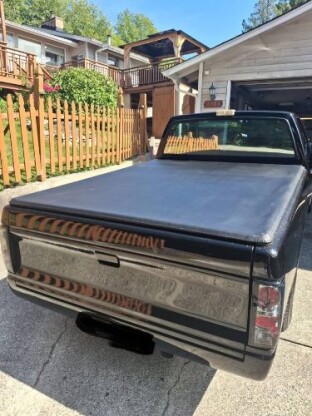 1983 Chevrolet S10