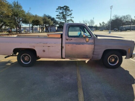 1979 Chevrolet Silverado